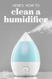 Here S How To Clean A Humidifier And The Important Step You Should Take Daily House Cleaning Tips Cleaning How To Clean Humidifier