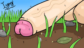 Rule34 - If it exists, there is porn of it  bugs  4030432