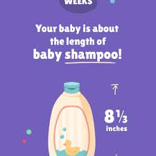 How long since april 20, 2021? 18 Weeks Pregnant Baby Development Symptoms And More