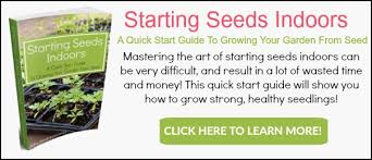 When To Start Seeds Indoors How To Figure Out What To Plant