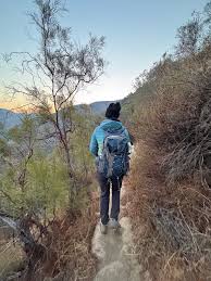 Image result for tbn:Qm8QJA0FQGkeJM::www.trekkingchile.com/Images/mis_fotos/1201890604.jpg