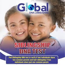 SIBLINGSHIP DNA TEST* There are two types of relationships that siblings  can share: Full siblingship and Half siblingship. Full Siblings will share  two common parents and Half Siblings will share just one