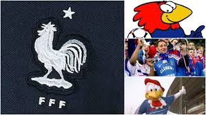 Nous vendons des �ufs de poules sur place � la ferme uniquement. Pourquoi Le Coq Est L Embleme De L Equipe De France