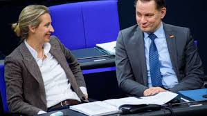 Während der parlamentarischen sommerpause interviewen die moderatoren von berlin direkt, theo koll und shakuntala banerjee. Markus Lanz Weidel Will Mit Chrupalla Spitzenteam Fur Bundestagswahl Bilden Politik Stuttgarter Zeitung