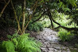 Der Geheime Garten Geheimer Garten Mystischer Garten Garten