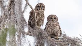 Eagle's Pride Golf Course Bird Walk