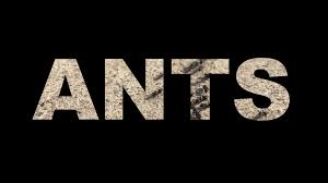Regardless of species, wild animals all have individual. Ambush Pest Solutions Inc Home Facebook