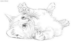 41 ideas dogs drawing pencil easy dogs drawing risovat zhivotnyh risunki koshachij risunok