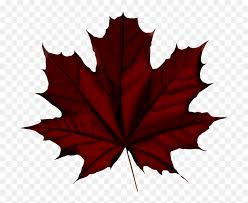 Faâ„“â„“ Vintage Flowers Autumn Leaves Falling Real Maple Leaf Vector Hd Png Download Vhv Posted in photoshop » actions, pattern & styles. real maple leaf vector hd png download