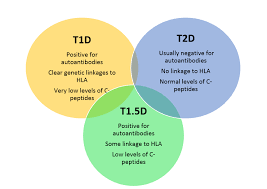 Type 1 5 Diabetes An Overview