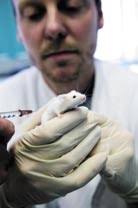 V i d e n s k a b e l i g å r s r a p p o r t