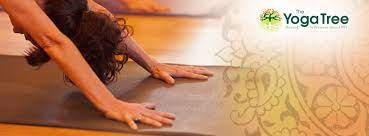 As a part of fun, association, culture, engagement (face), our official employee engagement group, employees actively participate and lead many engagement initiatives across our locations. Yoga Tree Intentionalist