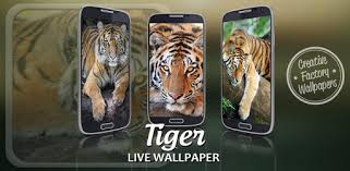 A partir de hoy, tenemos 79,020,035 libros electrónicos para descargar de forma gratuita. Tigre Fondos Animados Aplicaciones En Google Play