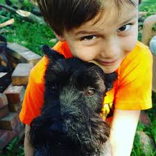 Complete Canine of Columbus