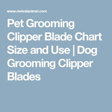 Revival Animal Health Dog Grooming Clippers Dog Grooming