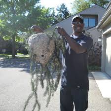 2340 miller cove rd melbourne, fl 32940. Apex Pest Control Inc Home Facebook