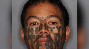 Shelly Grant (@ShellyKiwi)