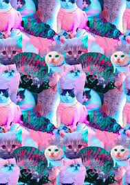 toxic mermaid wardrobe おしゃれまとめの人気アイデア pinterest b jean 猫の壁紙 ヒップな壁紙 キャットアート