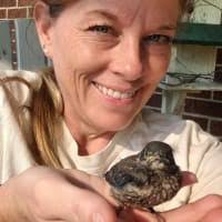 Support CEC Birdathon