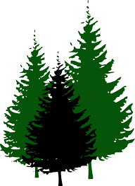 We did not find results for: Png Clipart Evergreen Tree Images Clip Art