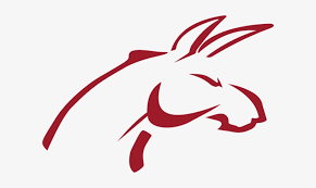 It's important to us that candidates understand and can embrace our values, they are what make us a great place to work. Burros Blancos Ipn Logo Free Transparent Png Download Pngkey