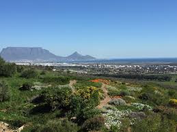 Durbanville Hills Wine Estate Places To Go Estates Western Cape