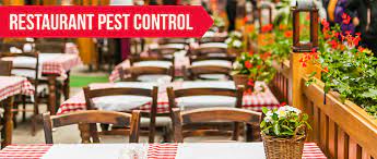 When are landlords responsible for pest control. When Mice Aren T Cute Or Funny Restaurant Pest Control