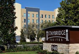 Join us on the sparkman wharf lawn and learn how to create a beautiful centerpiece for your thanksgiving table. Staybridge Suites St Petersburg Downtown Home Facebook