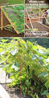 Successful Diy Ways To Create Supports For Vegetable And Flower Beds In The Cottage My Desired Home In 2020 Vegetable Garden Design Plants Garden Trellis