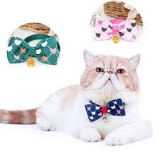 cat jewelry panosundaki pin