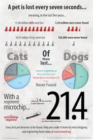 We did not find results for: 9 Importance Of Pet Microchips Ideas Losing A Pet Pets Pet Safety