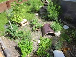 Gehege Schildkrotengehege Landschildkroten Schildkroten Freigehege