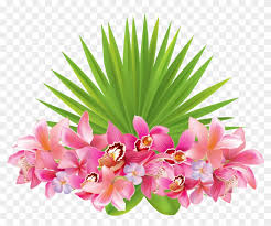 All of these tropical flower resources are for free download on pngtree. Flower Clipart Image Tropical Flowers Transparent Background Png Download 222723 Pikpng