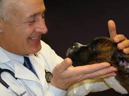TOP 10 BEST Low Cost Spay Neuter in Golden, CO