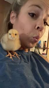 Our Sherman just wants to say "Happy Friday" everyone 😻