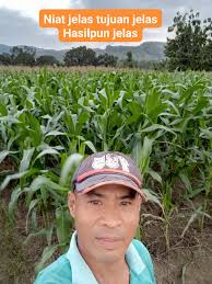 Narik kelapa muda panas terik matahari ,cari cuan buat beli baju lebaran  anakku #fyp #monetisasi