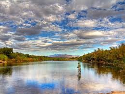 Tonto national forest rv camping. Tonto National Forest Arizona Recreation Gov