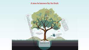 Ye shall know them by their fruits. A Tree Is Known By Its Fruit By Savithri Seneviratne