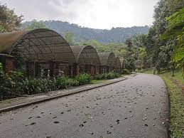 Taman botani pulau pinang biasanya hanya dipanggil botanic gardens oleh pulau pulau pinang. Taman Botani Pulau Pinang Penang Botanical Garden Percutian Bajet