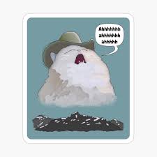 Find the newest cowboy cat meme. Cat In The Cowboy Shouting Ahhhhhhh Meme Canvas Print By Giorgion Redbubble