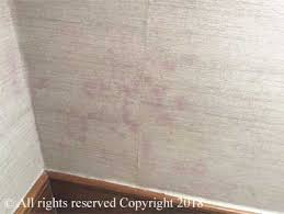 Mould Vinyl Wallpaper Hotels Hotel Mould Hong Kong Molding Vinyl Wallpaper Hotel