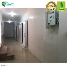 You still have less than a thousand dollars for the cooling unit including the controller. China Dried Pomelo Black Garlic Cold Room Meaning Homemade Walk In Freezer Walk In Display Cooler China Small Walk In Fridge Container Cold Room