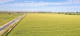 San joaquin pest control was established over 40 years ago by two brothers. Testimony Water Supply And Quality Challenges In The San Joaquin Valley Public Policy Institute Of California