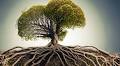 Schizophrenia and Aging May Share a Biological Basis