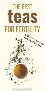Pin On Fertility And Getting Pregnant