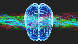 Semantic scholar extracted view of time warped: Why Our Sense Of Time Speeds Up As We Age And How To Slow It Down