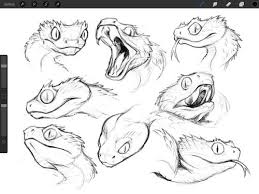 Skullbird Bush Viper Sketch Studies Snake Drawing Snake Art Animal Drawings