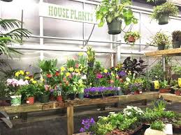 Check spelling or type a new query. Gardener S Supply Opens Lebanon Nh Garden Center Vermont Business Magazine