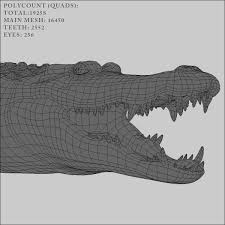 3d Model Photorealistic Crocodile 3d Model Animation Model