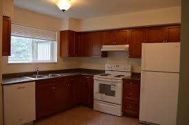 how to recycle your kitchen cabinets